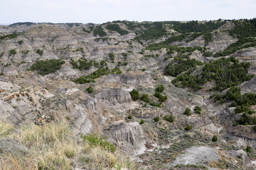 Montana's Makoshika State Park